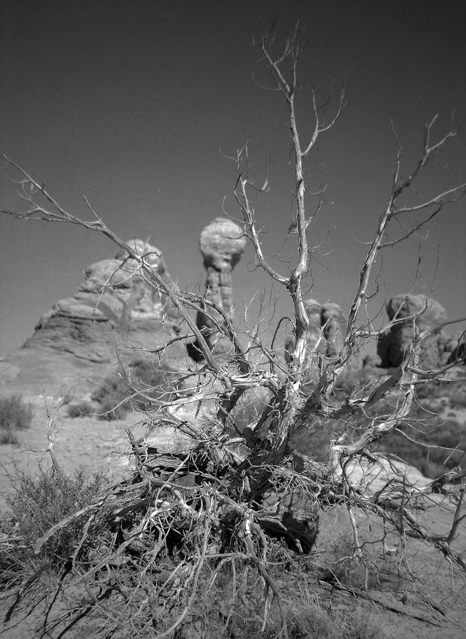 Arches National Park, Utah