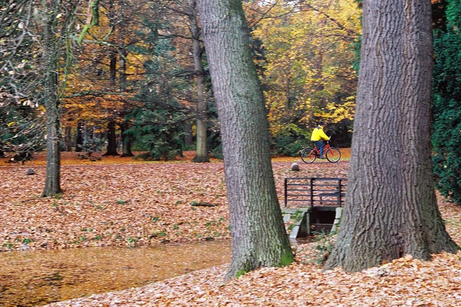 Rowerem przez park