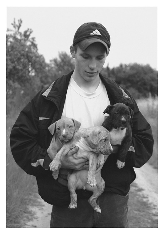 chłopak ze szczeniakami