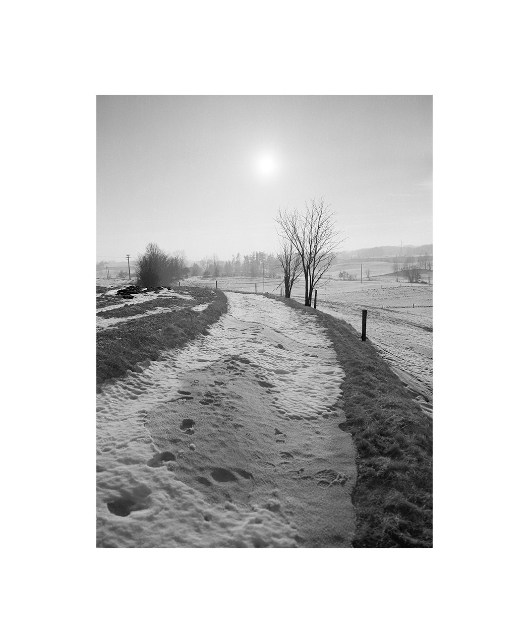 Moje Widoki