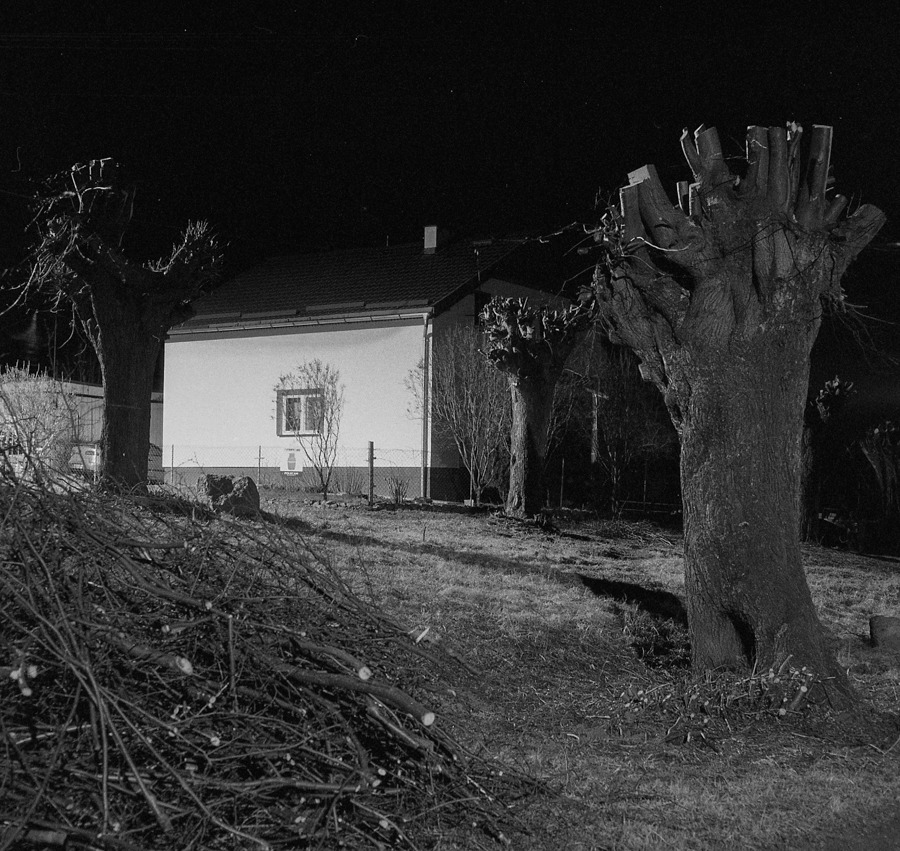 Po metarmofozie