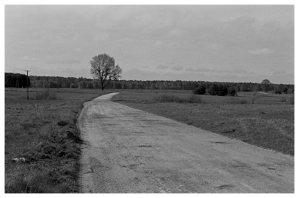 Donikąd