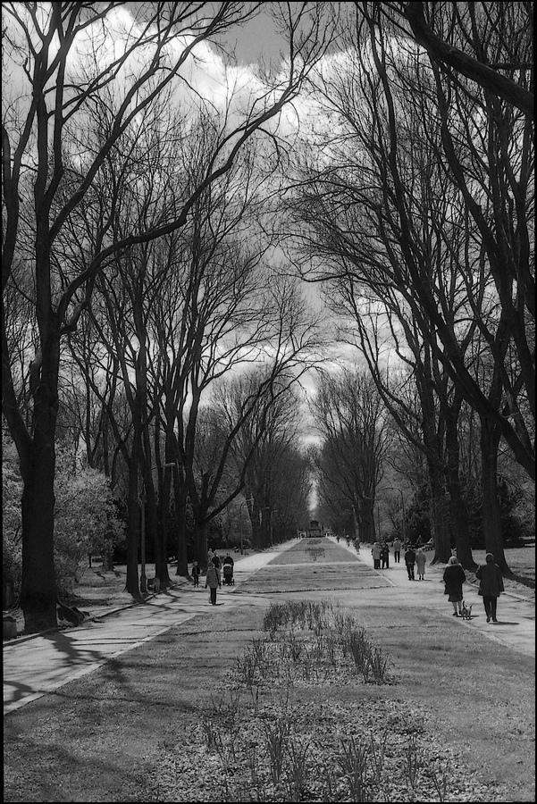 Park na niedzielę ;)