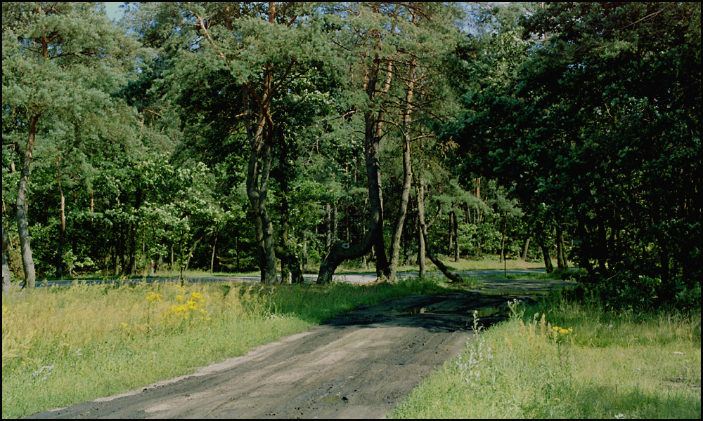 Podróże motocyklowe