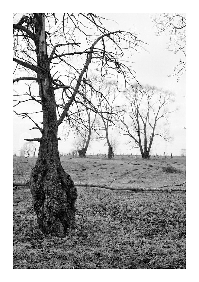4Rcan_20200229_0004