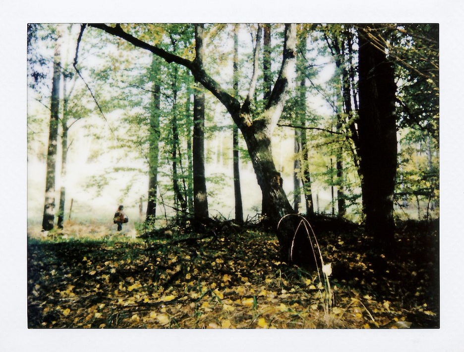 Instax Boox - Primary