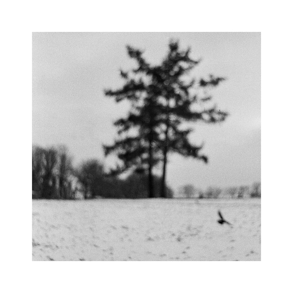 JONASZ 1949-2018