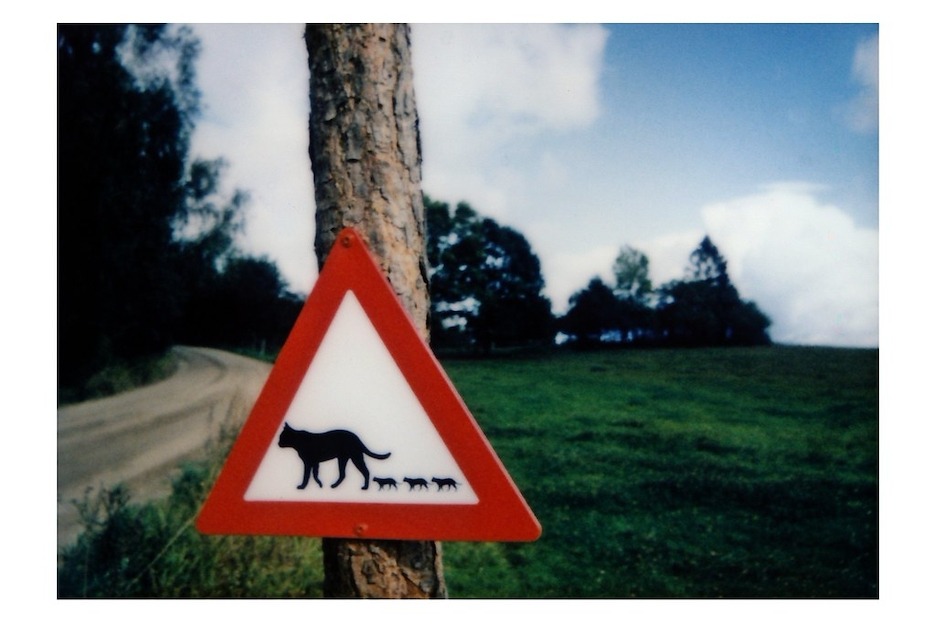 Instax Boox - Cats