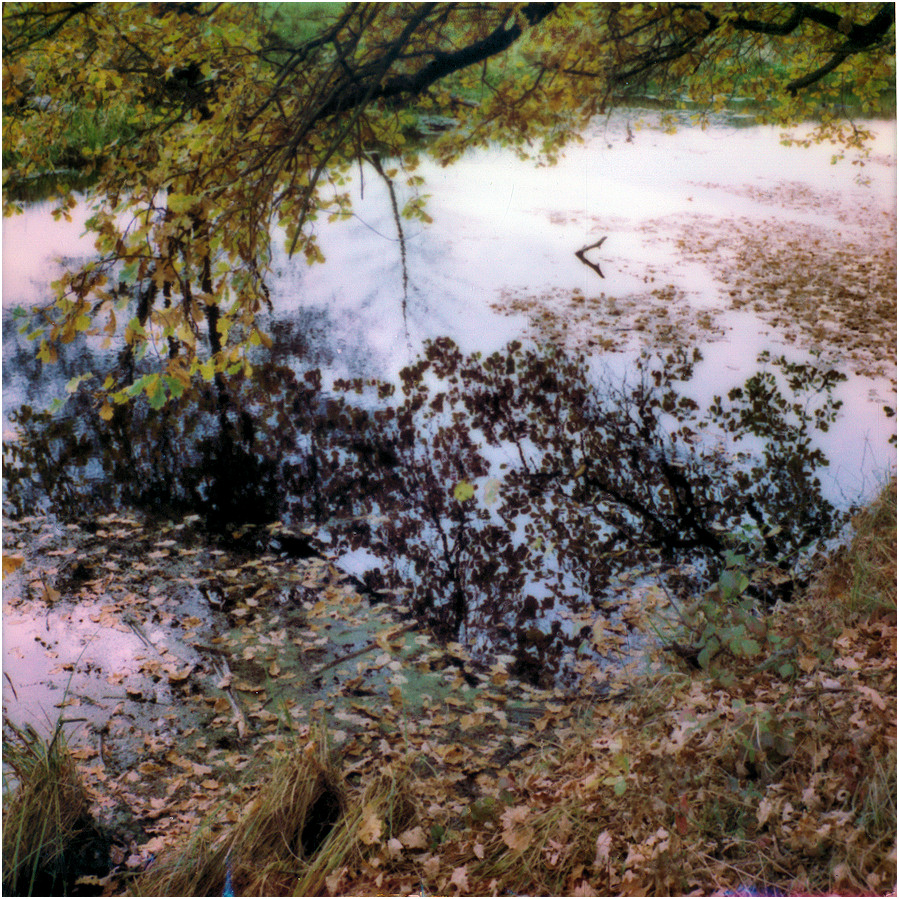 z cyklu: subiektywne spacery podpoznańskie