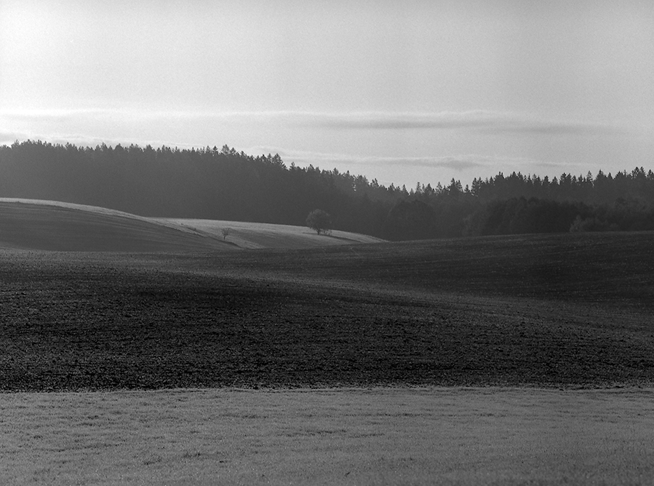 Wysyp geodetów o poranku