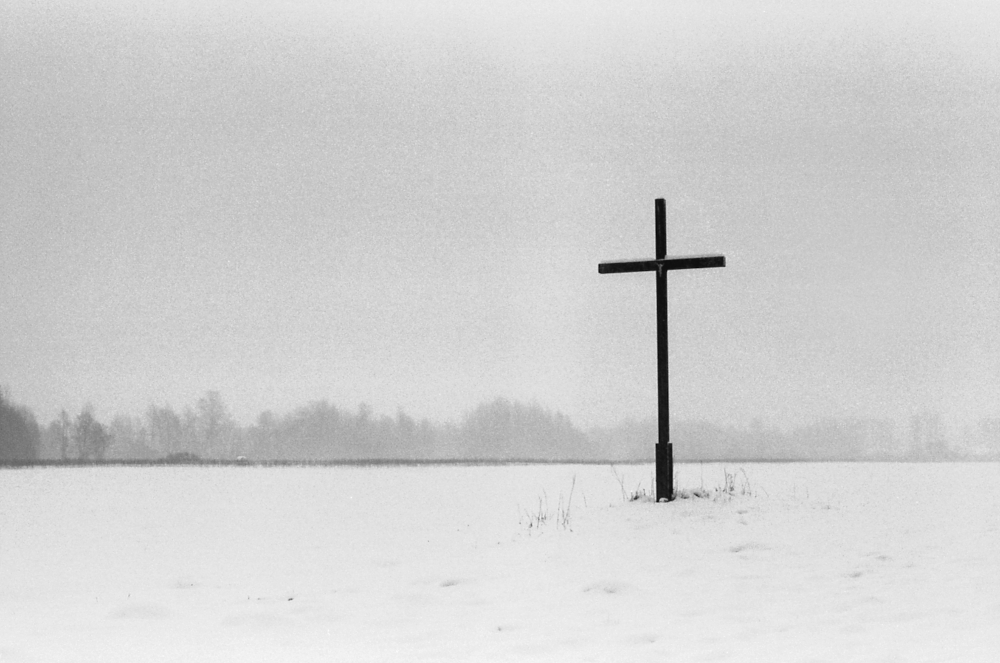Śnieżyca