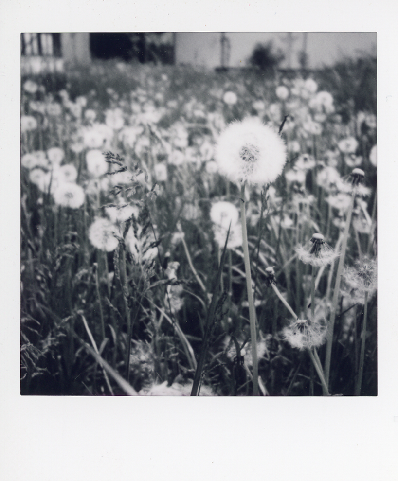 nastroiłam się natychmiastowo i ulotnie