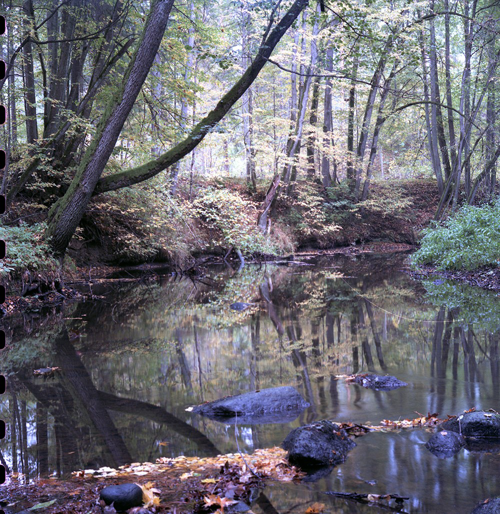Rzeka "Jarka"