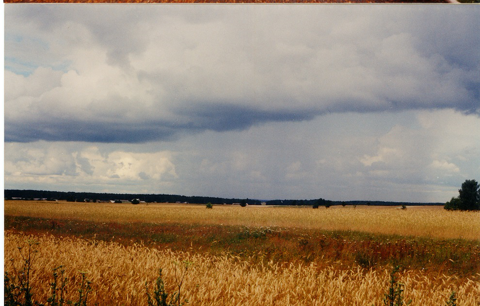 Okolice Kozłówki