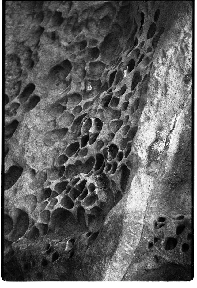 Pan Ilford i Coś